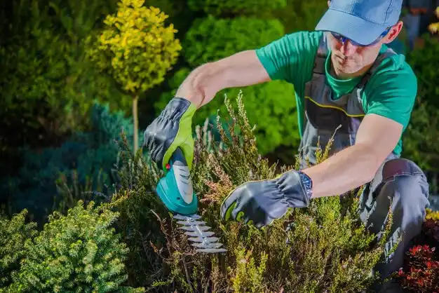 landscaping services Lyndon